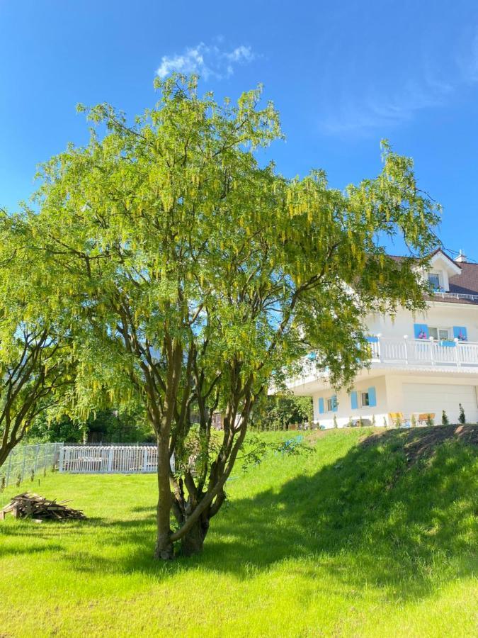 Apartament Fiona4 Centrum700m Parking Bezplatny Monitorowany Salon Z Sypialnia Tv Lazienka Kuchnia Rekuperacja Karpacz